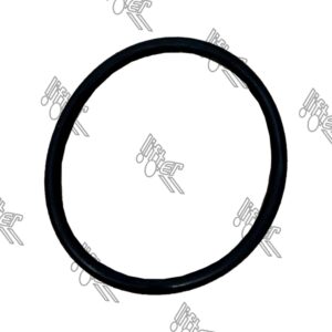 O-ring