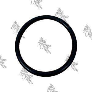 O-ring