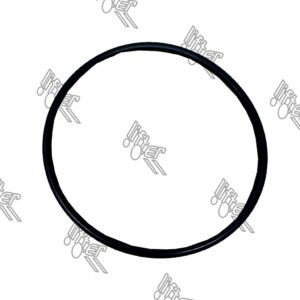 O-ring