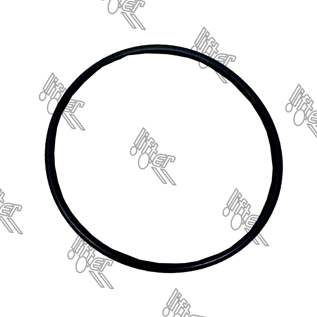 O-ring